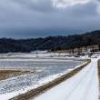 Warm Winter Risk, Xrisques © Tom Fisk, Pexels
