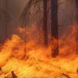 Feu de fôret du à la secheresse © Freepik